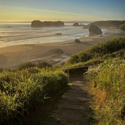 Bandon Beach at golden hour.