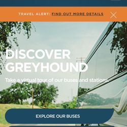 Greyhound Bus - Home site online