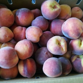 Pedrick Produce - Bought a 25 lbs box of peaches for ~$12 - Fruits & Veggies Near Me - Dixon, California Pedrick Produce - Bought a 25 lbs box of peaches for ~$12 - Fruits & Veggies Near Me - Dixon, California