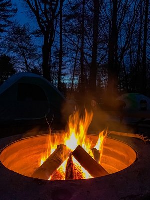 P. J. Hoffmaster State Park by null