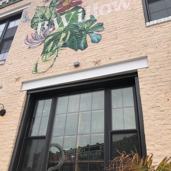 B Willow - Exterior - Nurseries & Gardening Near Me - Baltimore, Maryland