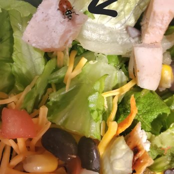 Farmer Boys - Got a little something extra with my salad... a cute live ladybug. Also note the fake looking "grilled" chicken. - Burgers Near Me - Riverside, California
