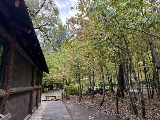 Curry Village by null