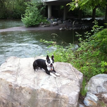 Puyallup Trail - Cooper relaxing after our walk/jog - Hiking Near Me Puyallup Trail - Cooper relaxing after our walk/jog - Hiking Near Me