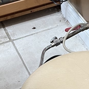 Sunny Nails - Roaches. - Waxing Near Me - Chicago, Illinois