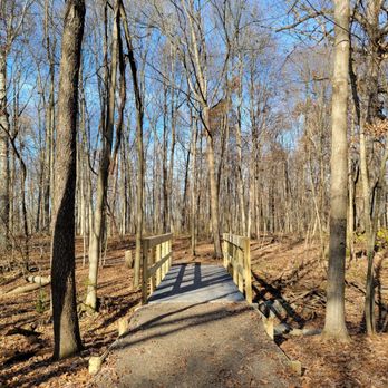 Hickory Woods Park - Woods section - Parks Near Me - Delaware, Ohio