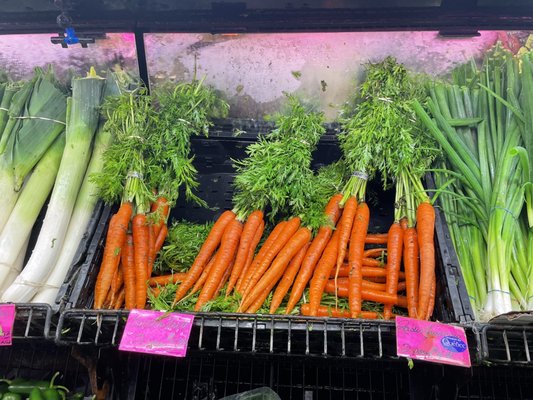 Maisonneuve Market by null