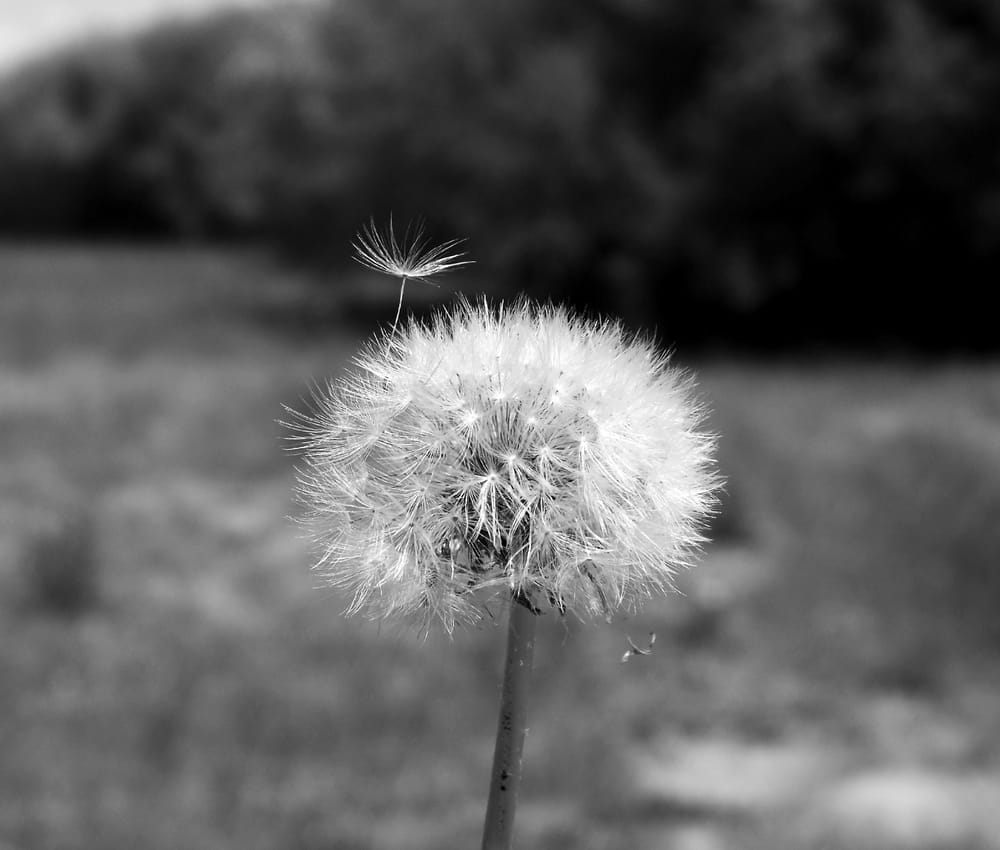 ABC Great Beginnings - childcare center in Clearfield, UT