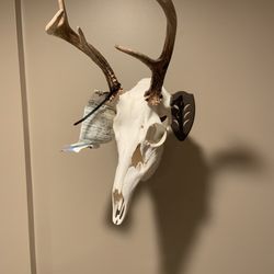 Exact Wildlife Creations - Euro mount