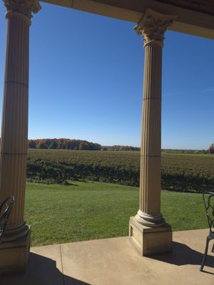 South River Vineyard by null