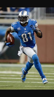 Detroit Lions by null