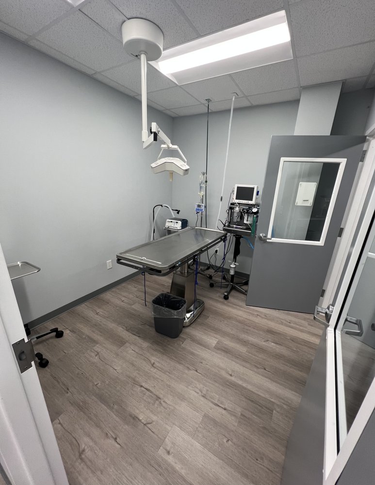 CHARLOTTE COMPANION ANIMAL HOSPITAL Updated October 2024 14 Photos