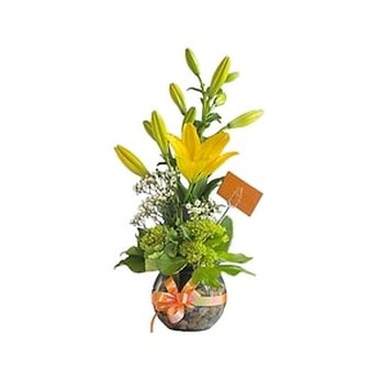 Amarilis Flowers - flowers delivery Mississauga - Florists Near Me - Mississauga, Ontario Amarilis Flowers - flowers delivery Mississauga - Florists Near Me - Mississauga, Ontario