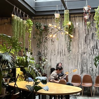Antidote - Music performance - Cocktail Bars Near Me - Brooklyn, New York