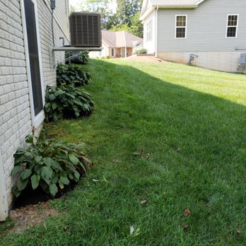 B-Reasonable Lawn Care - clean cut and trim yard maintenance - Lawn Services Near Me B-Reasonable Lawn Care - clean cut and trim yard maintenance - Lawn Services Near Me