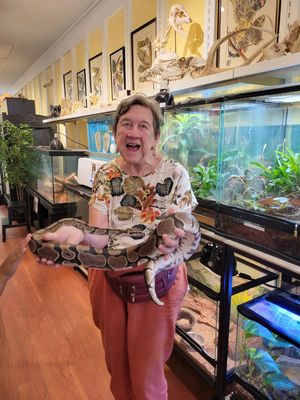Santa Fe Reptile and Bug Museum by null
