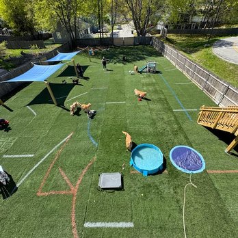 Salty Paws - Great outdoor space! - Dog Walkers Near Me - Hampton, New Hampshire
