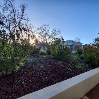 King Plaza - Garden - Local Flavor Near Me - Palo Alto, California King Plaza - Garden - Local Flavor Near Me - Palo Alto, California