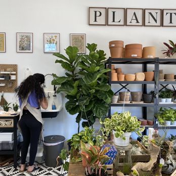 SarahCotta Plants - Sarah the owner - Nurseries & Gardening Near Me - Glendale, California SarahCotta Plants - Sarah the owner - Nurseries & Gardening Near Me - Glendale, California
