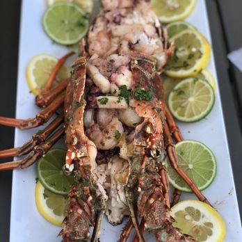 Marina de Salinas - Lobster!!!! - Hotels Near Me - Salinas, Puerto Rico
