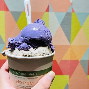 Sweet Action - a hand holding a cup of ice cream - Ice Cream & Frozen Yogurt Near Me - Denver, Colorado