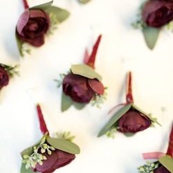 Wallflowers Design Studio - Boutonnières