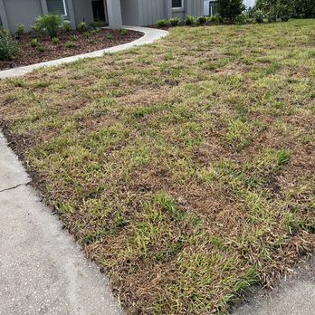 Sod Express Nursery - 1st picture =Sod Express **BEWARE** Multiple negative reviews in this company - Landscaping Near Me - Sanford, Florida Sod Express Nursery - 1st picture =Sod Express **BEWARE** Multiple negative reviews in this company - Landscaping Near Me - Sanford, Florida