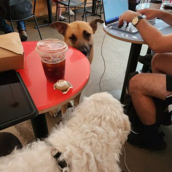 Boris & Horton - Cafes Near Me - New York, New York