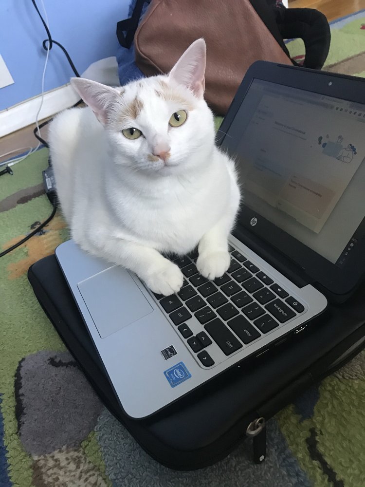 Slide of Fuschillo Plumbing