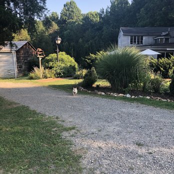 Grayhaven Winery - Looks like a home when you drive up but it's so much more! - Wineries Near Me - Gum Spring, Virginia Grayhaven Winery - Looks like a home when you drive up but it's so much more! - Wineries Near Me - Gum Spring, Virginia