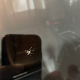 Crack in my windshield. Crack in my windshield.