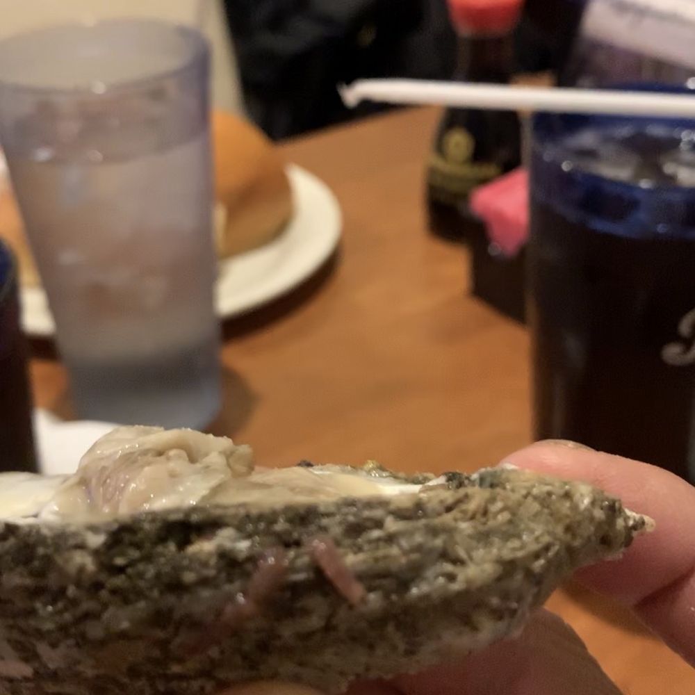 Teppanyaki Grill & Buffet - Seafood with worms - Sushi Bars Near Me - Lanham, Maryland Teppanyaki Grill & Buffet - Seafood with worms - Sushi Bars Near Me - Lanham, Maryland