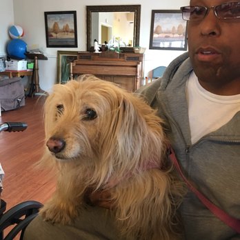Carmel Groomers  - Pet Groomers Near Me - Carmel, California