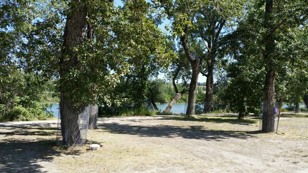 Bowness Park by null