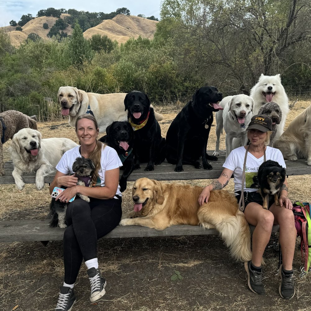 THE BEST 10 PET SITTING near LAFAYETTE, CA 94549 - Updated 2026 - Hours -  Yelp