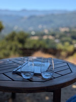 House Family Vineyards by null