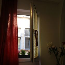 Hotel Am Museum