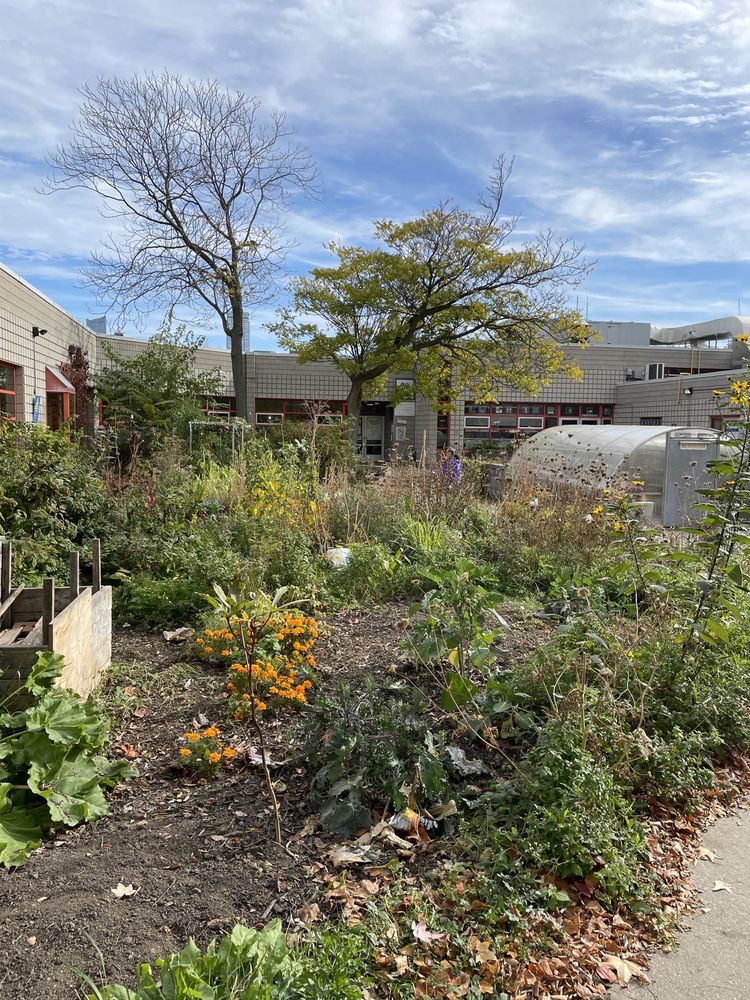 Scadding Court Community Centre