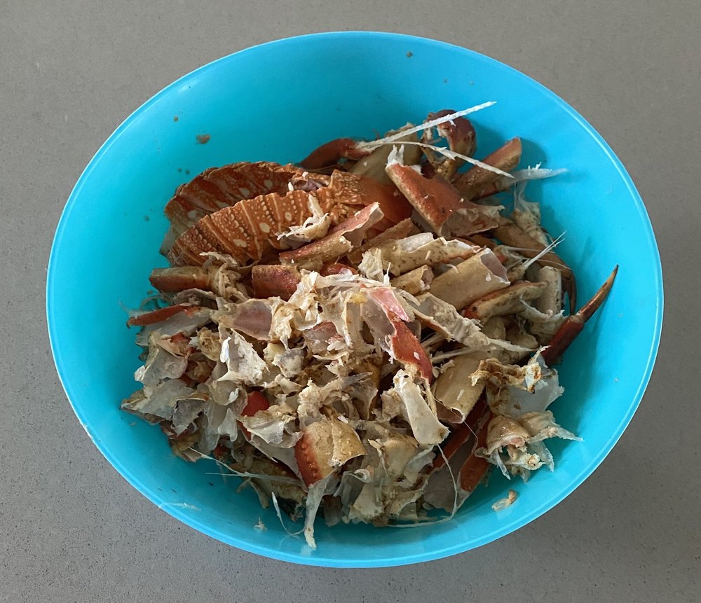 AUSTIN’S SOUTH ISLAND SEAFOOD & PRODUCE 30 Photos & 39 Reviews