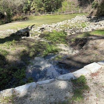 Ravine Gardens State Park - Parks Near Me - Palatka, Florida