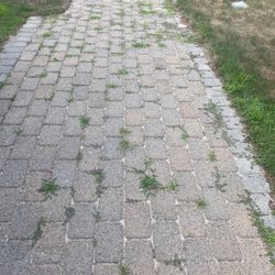 Platinum roofing & construction - The weeds grew back in a month from when the walkway was cleaned.