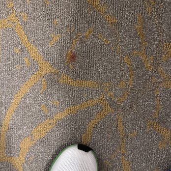 Hotel Beauden, Autograph Collection - What a dive. Carpet in my "suite". - Hotels Near Me - Orlando, Florida Hotel Beauden, Autograph Collection - What a dive. Carpet in my "suite". - Hotels Near Me - Orlando, Florida