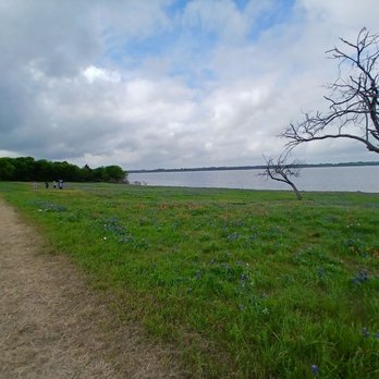 Ennis Bluebonnet Trails - Festivals Near Me - Ennis, Texas Ennis Bluebonnet Trails - Festivals Near Me - Ennis, Texas