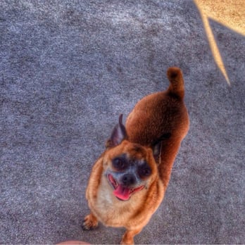 Barkland - Dog Parks Near Me - Parkland, Florida