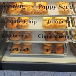 Posh Bagel - Different types of bagels