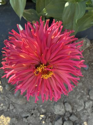 Well Rooted Farms by null