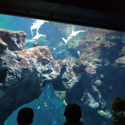 Aquarium de Lyon