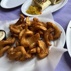 Shiraz Mediterranean Grill - Panini and curly fries