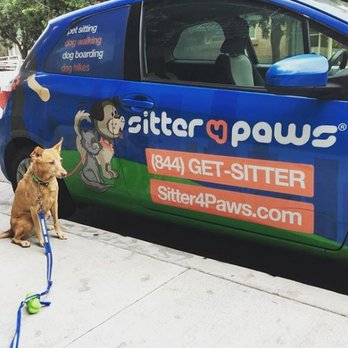 Sitter4Paws - Say 'Hey' if you see us driving around Los Angeles! - Dog Walkers Near Me Sitter4Paws - Say 'Hey' if you see us driving around Los Angeles! - Dog Walkers Near Me