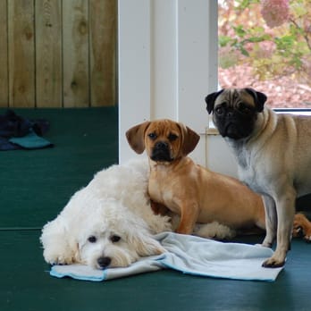 Paws and Claws - say BISCUIT! - Pet Groomers Near Me - Hudson, Wisconsin